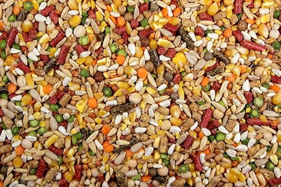 Chicken Feed, Whole Ingredient Chicken Treat, Wied Variety of Grains Poultry Feed (20 Pound (Pack of 1), High-Octain (High Protein) with Cracked Corn)