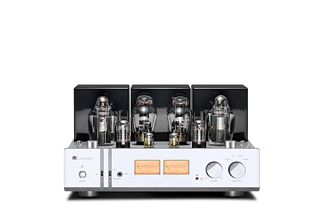 X10 Pro KT170 Tube Amplifier HiFi Class A Single-Ended,MM Phono,Balaned,Power Amplifier with PRE in,28W*2, AC 115V/230V Optional