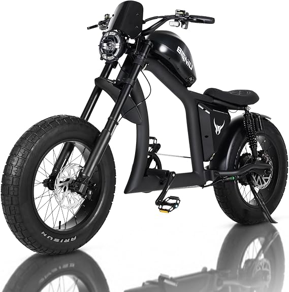 BIGNIU BG-X Electric Bike for Adults,1500W Brushless Motor 48V/31.5Ah Up to 40 Miles E-Bike Front/Rear Turn Signal Dual Suspension Ebikes