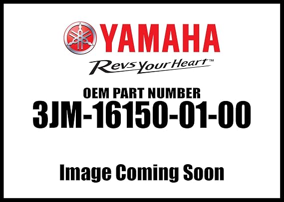 Yamaha 3JM161500100 Primary Drive Gear