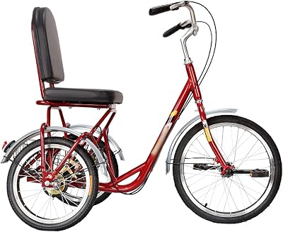 Three Wheel Bike Adult Tricycle Comfort Bicycles Bike with Seat Backrest Basket Three Wheel Cruiser Bike for Seniors Women Men Cycling Pedalling