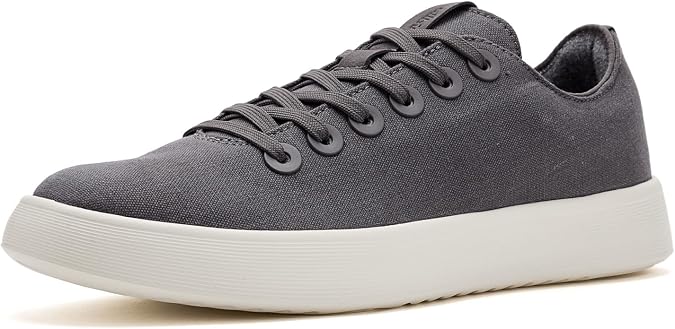 Allbirds Mens Cruiser Canvas