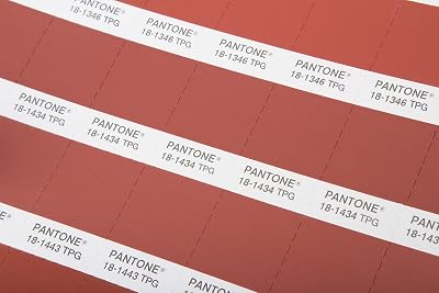 Pantone Fhi Tpg Page S08