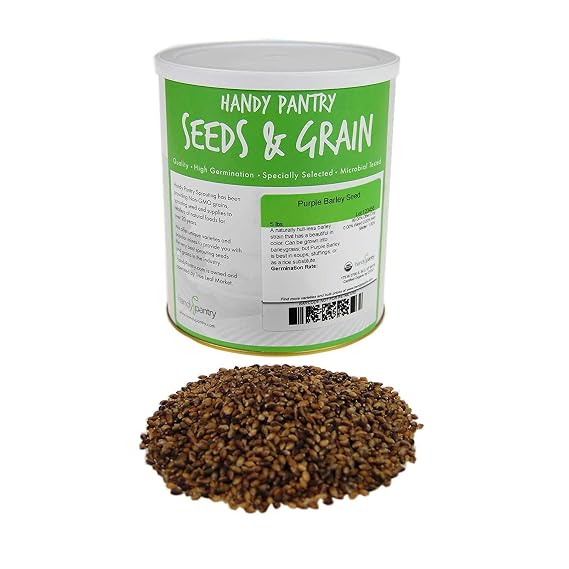 Handy Pantry Purple Barley Seeds - Certified Organic - 5 Lbs - Black Barley