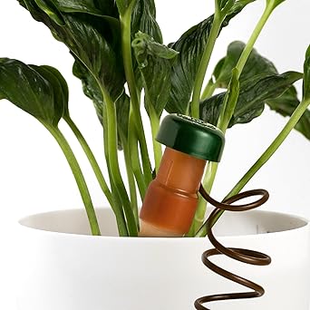 Blumat Classic Self-Watering Stakes - Prevents Overwatering and Underwatering for Healthy Growth While You are Away - Ideal for Indoor Plant Watering, 15 Pack, w Adapter