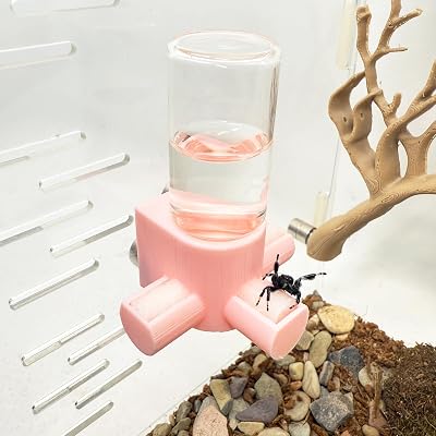 Jumping Spider Water Dispenser, Magnetic Hanging Feeder,Suitable for Jumping Spiders,Tarantulas, Praying Mantises,Arboreal Animals, and Other Small Animal Enclosure Accessories Pink, 10ML