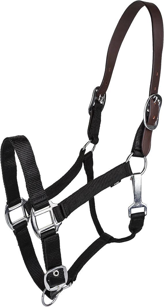 Gatsby Leather Company 284046 Nylon Breakaway Halter Black, Horse
