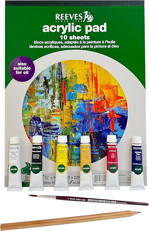 Artist's Acrylic Paint Set for Beginners (1 Set)