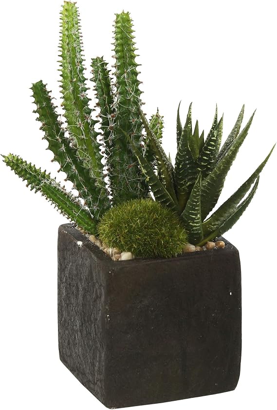 Vickerman Everyday 8" Indoor Artificial Green Succulent Arrangement in Square Black Pot - Pre-Made Arrangement for Home Or Office - Maintenance Free - 2 per Pack.