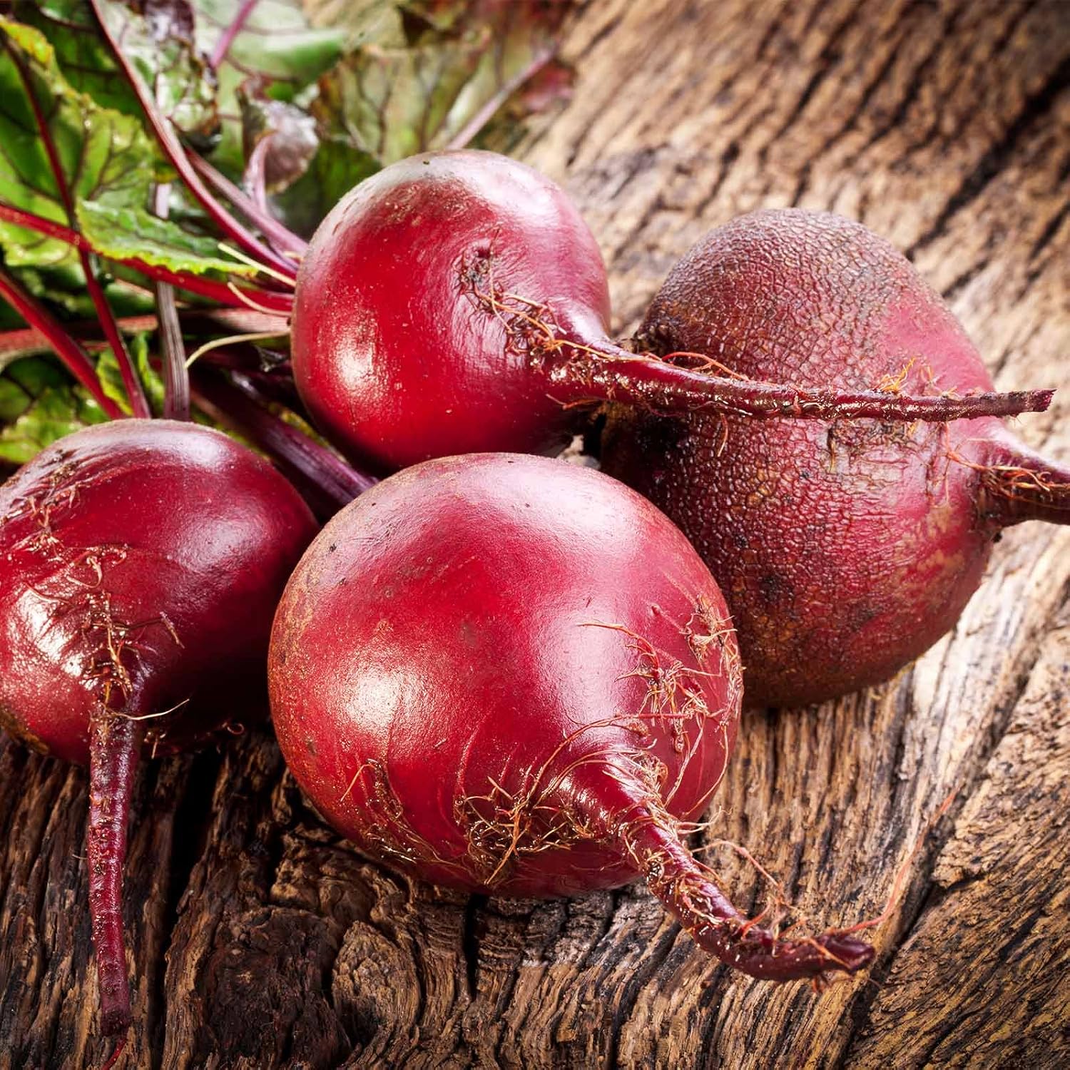 Bulls Blood Beet Seeds - 3 g Packet ~125 Seeds - Non-GMO, Heirloom - Vegetable Garden, Microgreens Seeds