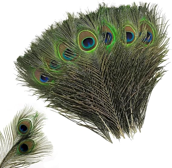 20 Pieces Peacock Feathers with Small Eye Pattern 25-30 cm