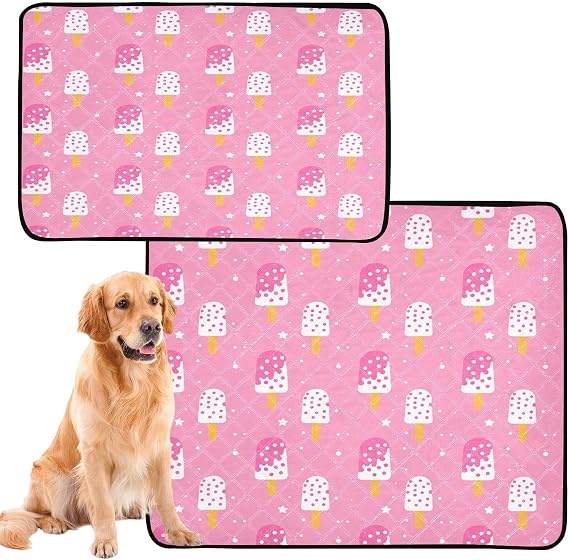 Fruit Flavored Popsicle Washable Pee Pads for Dogs, 2 Pack Non-Slip Reusable Dog Pads Waterproof Whelping Training Pet Mat for Potty, Crate, Playpen, Bed, Sofa