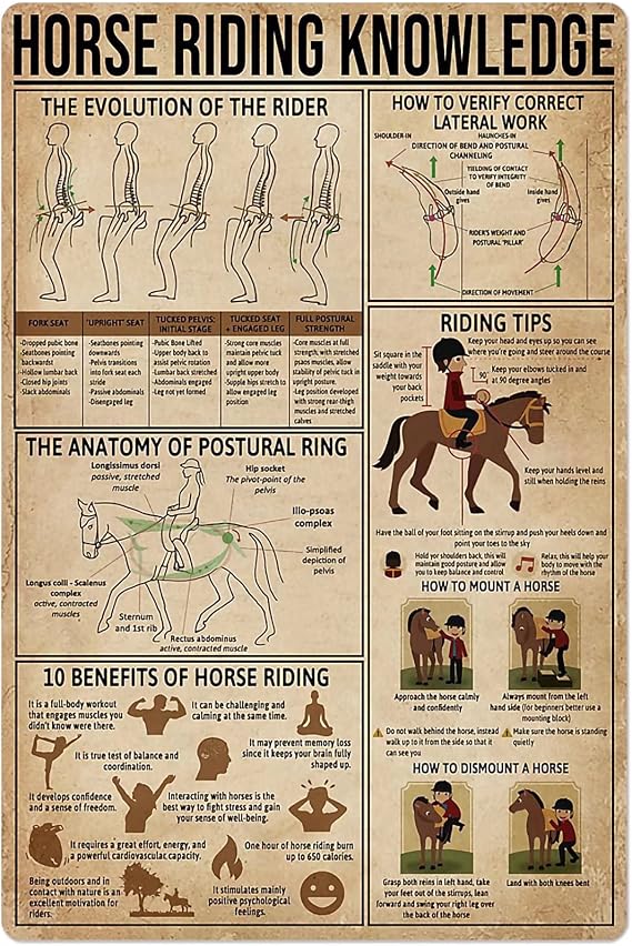 JIUFOTK Cowboy Knowledge Metal Tin Signs Horse Riding Guide Posters Wall Decor Farm Club Decor Home Decor Plaque 8x12 Inches