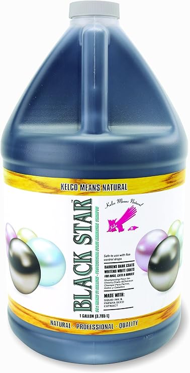 Kelco 50:1 Black Star Shampoo Gallon