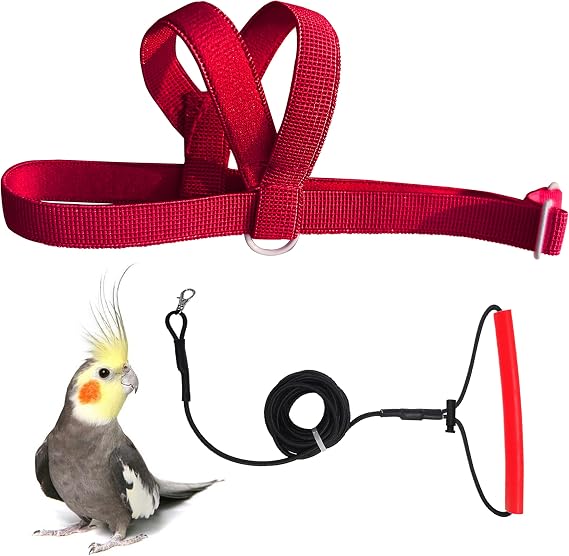 VANFAVORI Adjustable Bird Harness Elastic with 80-inch Leash, Burgundy Red