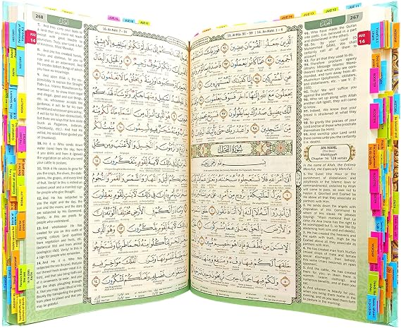 Quran Viral Maqdis Noble Quran Word by Word Translation with Meaning Quran Koran Book Colour Holy English Arabic Colour Coded Thematic Index Bookmark (Blue, Tags MQ A4 Size)