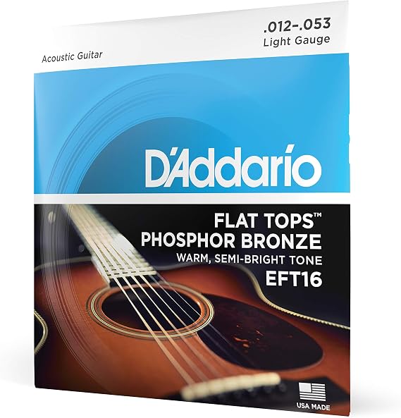 D'Addario Flat Tops Phosphor Bronze Strings EFT16, 12-53