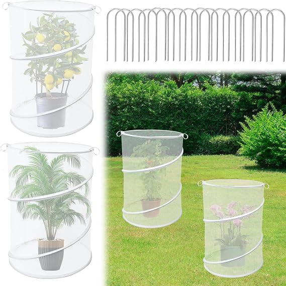 4 Pack Pop up Plant Covers Tent from Animals, 20"H X 13"D Insect Barrier Mesh Plant Guard Cover Net White Garden Plant Protectors Mini Greenhouse Plant Protection Cage with Stakes for Outdoor Plants