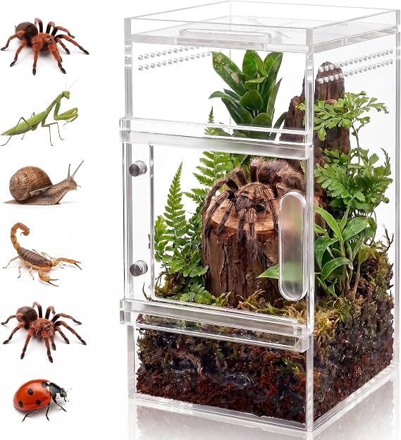 Pre-Assembled Jumping Spider Enclosure, Small Acrylic Insect Terrarium