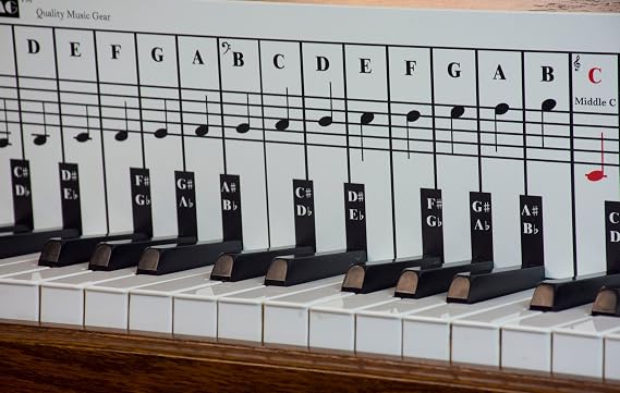 Piano Note Chart Used Behind the Keys, Foam PVC Sheet, Visual Reference for Piano Players, Easy Setup, Covers Four Octaves, Made in USA