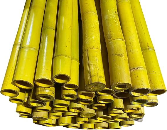 6 Feet Long Natural Thick Bamboo Poles - 1.5in - 2in Wide - Pack of 2 (Green)