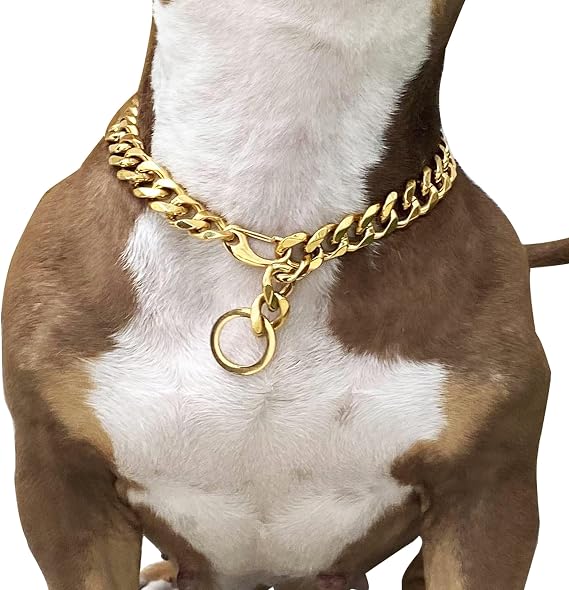 Adjustable Strong Lobster Clasps Dog Titan Collar Training Walking Metal Dog Duty Chew Proof for Medium Large Dogs American Pitbull German Shepherd