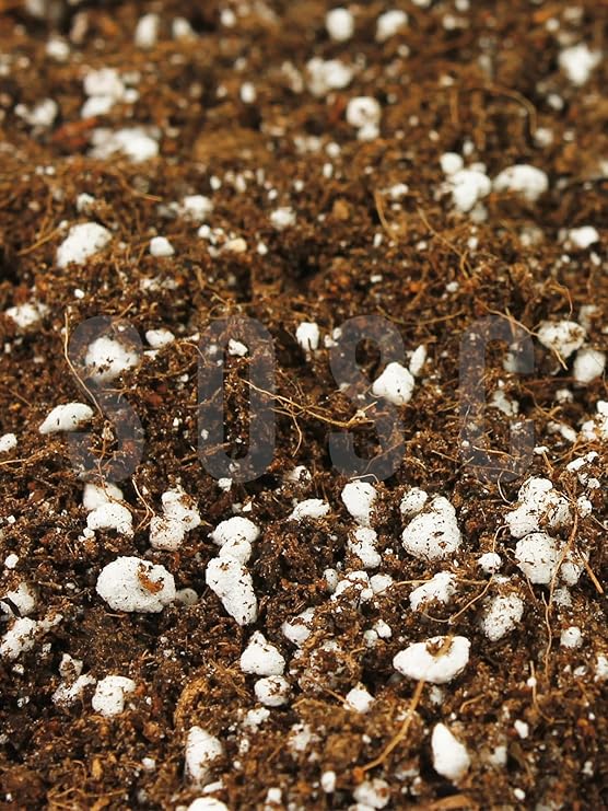 SUBSTRATE LIGHT MIX Imported Sphangum Peat Cocopeat Perlite Special Mix Potting Mortar Flower And Plant Soil 5 LT