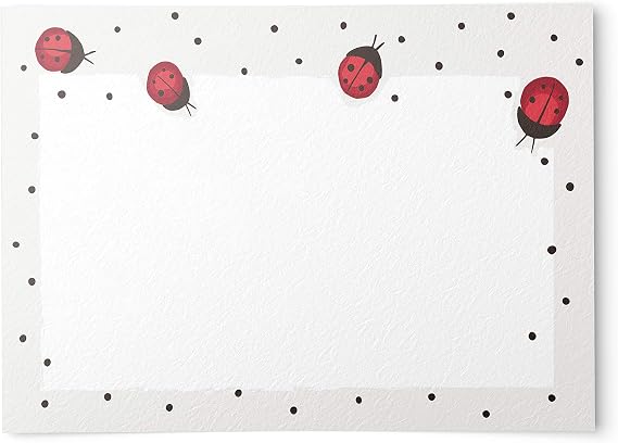 Dashleigh Ladybug Note Cards, A6, 4 x 6 inches, Set of 48