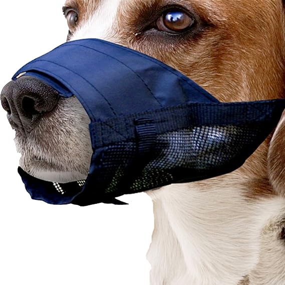 Pawise Bez Köpek Ağızlığı No:2 S