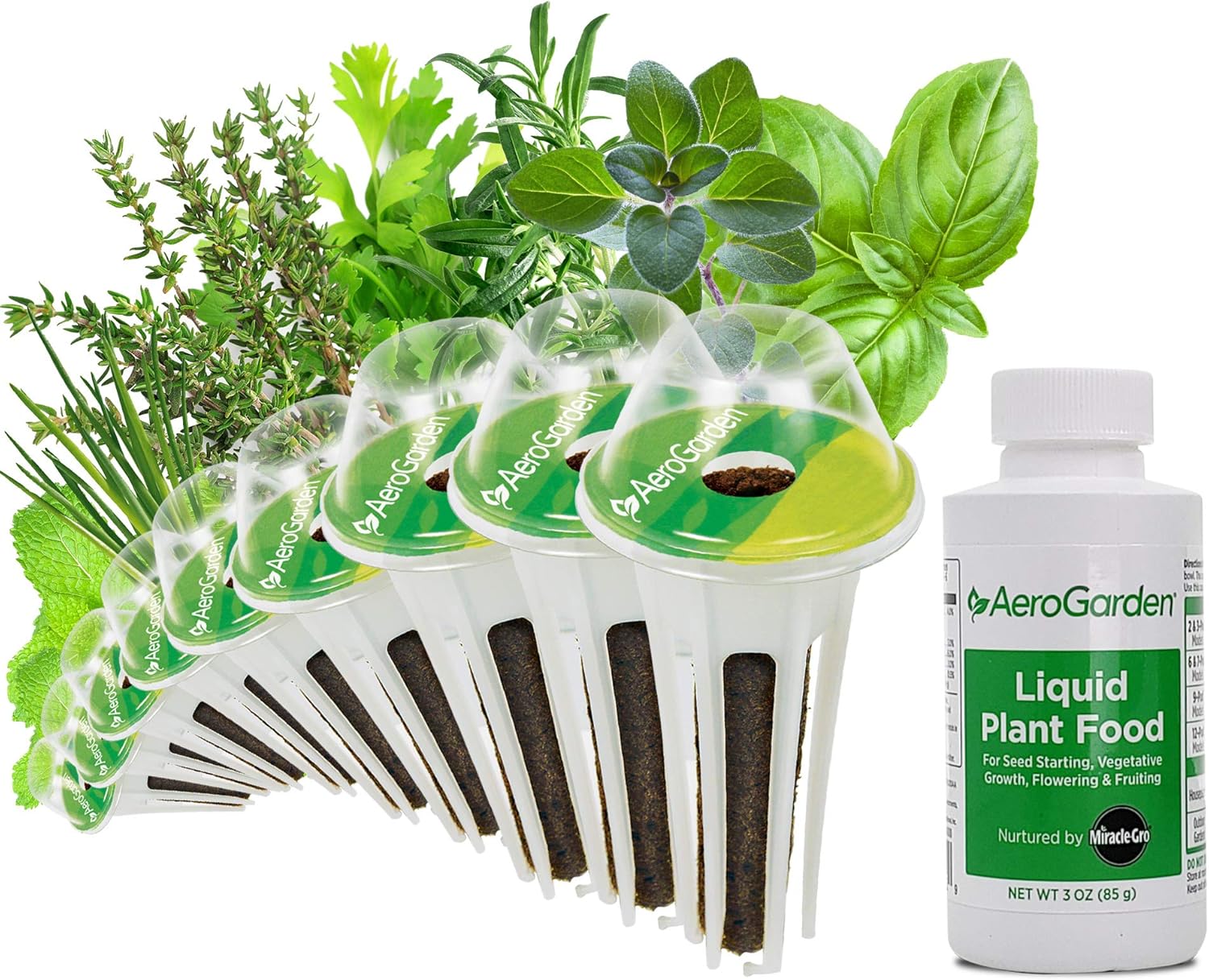 AeroGarden Assorted Italian Herb Seed pod Kit, 6-Pod