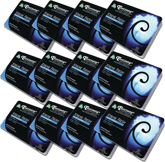 Auto Dynasty TreeFrog Xtreme Fresh Under-The-Car Natural Air Freshener - Black Squash Scented (Pack of 12)