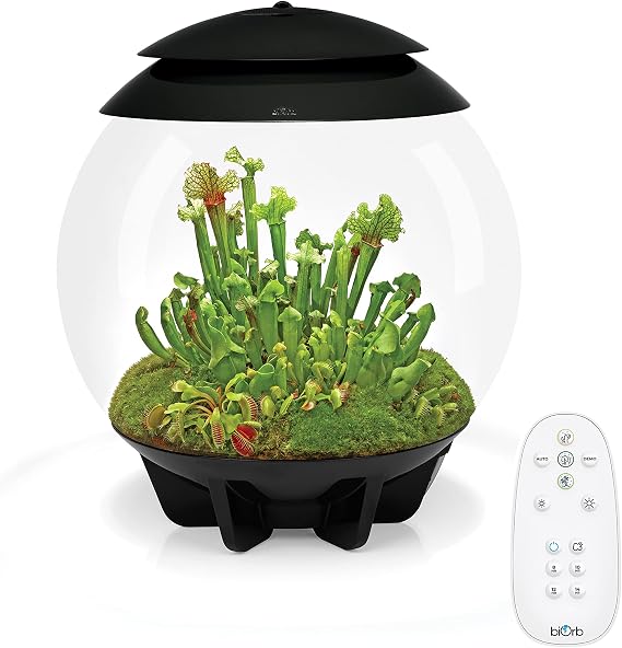 biOrb AIR 30, Automated Acrylic Terrarium for Desert or Tropical Plants, Black