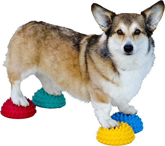FitPaws Paw Pods Dog Agility, Training, Balance, Fitness and Rehab Tool