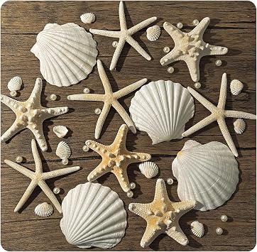4-5in Large Real Starfish Scallops Sea Shells Bulk 12PCS, Seashells for Crafting and Decorating, Beach Party Wedding Decoration, Shell Garland, Scallop Painting ( With 20 Pearls and 10 Shells )
