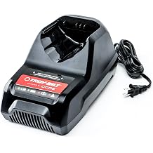 Troy-Bilt 490-280-Y003 CORE 4044 40V 6A Max Rapid Charger
