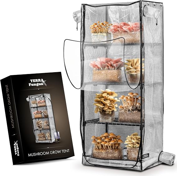 Mushroom Grow Tent