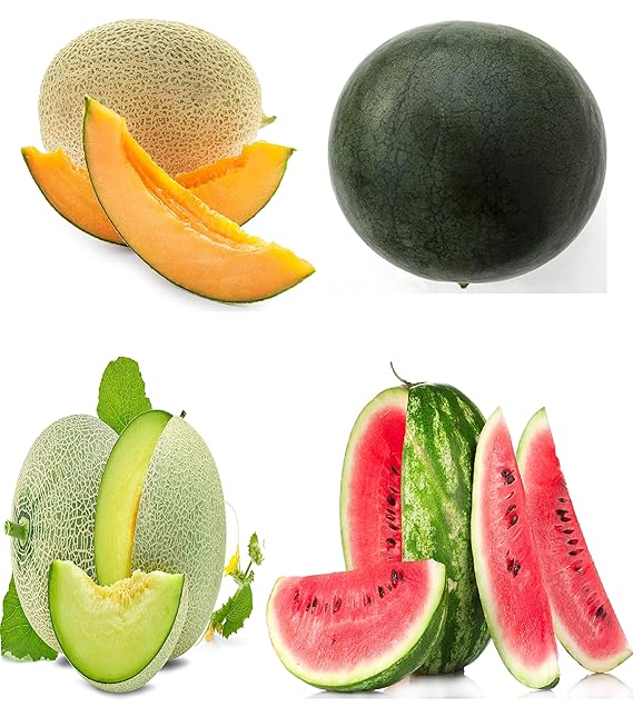 Melon Seeds Variety Pack for Planting 4 Non-GMO Heirloom Varieties: Crimson Sweet & Sugar Baby Watermelon, Honeydew, Hale's Best Jumbo Cantaloupe High Germination, USA-Grown Garden Fruit Seeds