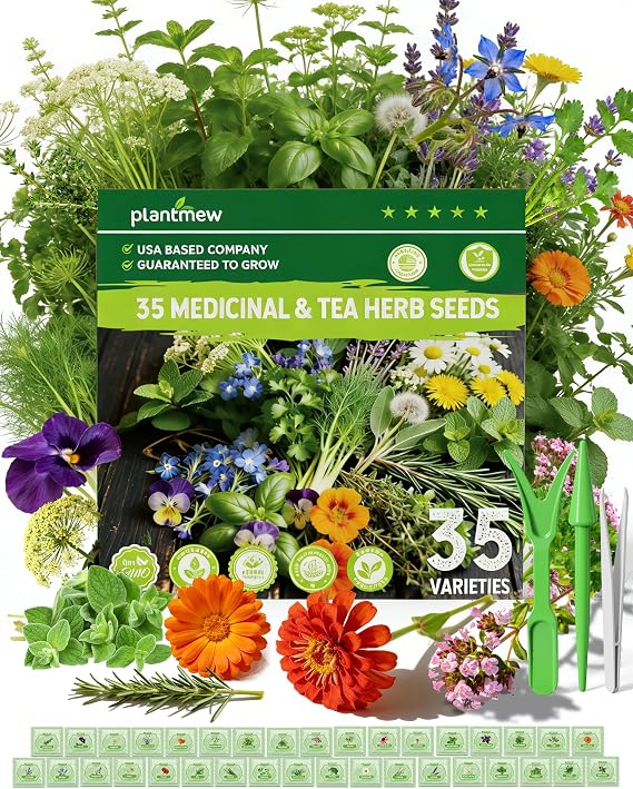 35 Medicinal & Tea Herb Seeds for Planting - Non-GMO Variety Pack | for Indoor/Outdoor Garden: Anise, Bergamot, Borage, Fennel, Chamomile, Dandelion, Oregano, Hyssop, Catnip Seeds & More