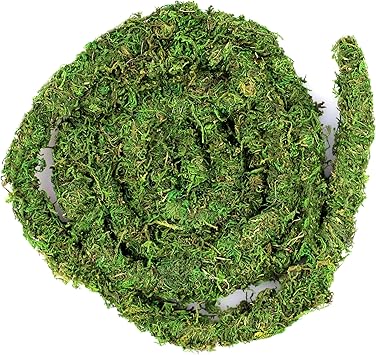 Galapagos (05266) MossVine, Real Moss Vine, 12FT, Green